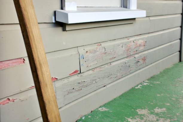 Best Siding Painting and Refinishing  in Presidential Lakes Estates, NJ
